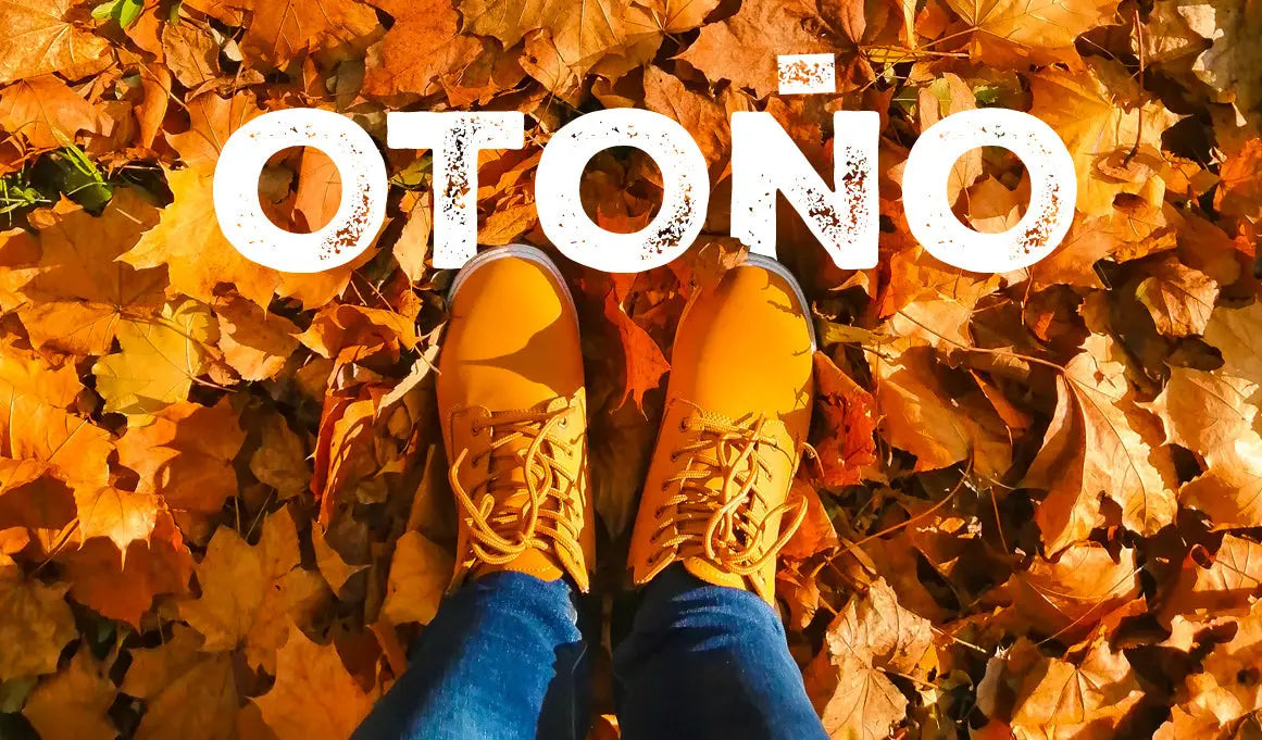 Las características especiales del otoño