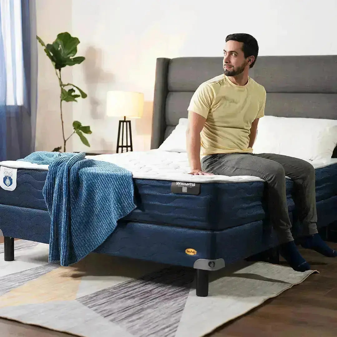 Combo Williams G2 Queen + Osito + Protector + 2 Almohadas de Memory Foam Spring King