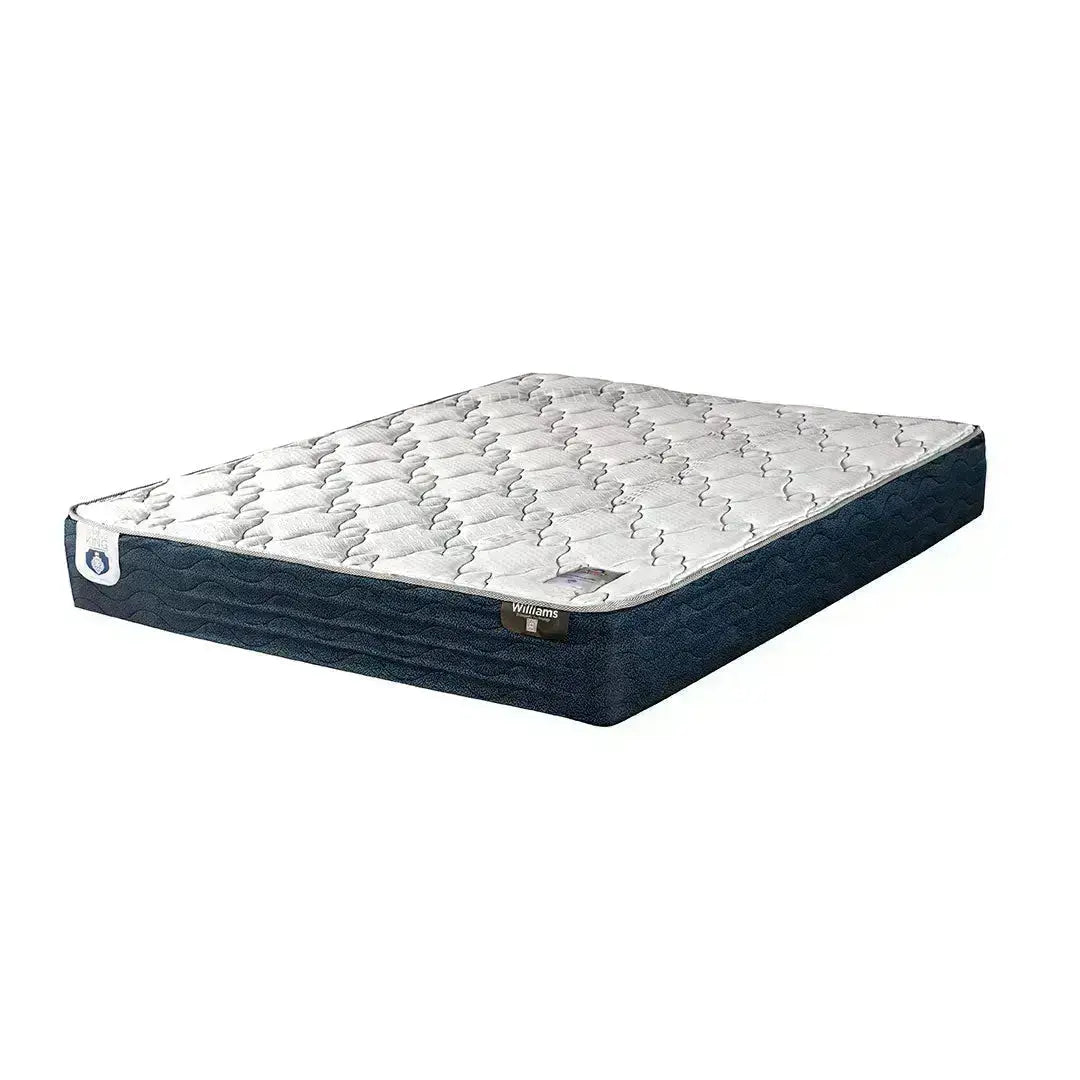 Combo Williams G2 Queen + Osito + Protector + 2 Almohadas de Memory Foam Spring King