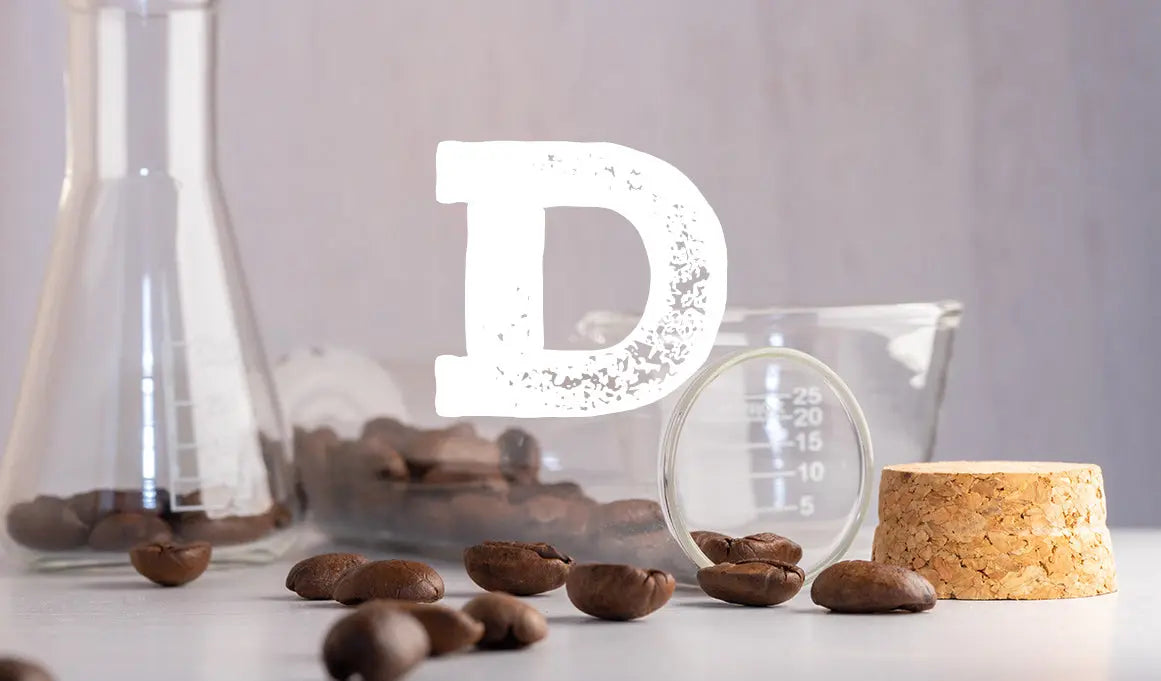 Beneficios del cacao para la despensa familiar