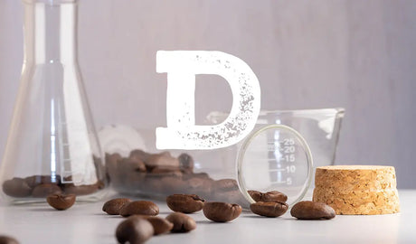 Beneficios del cacao para la despensa familiar