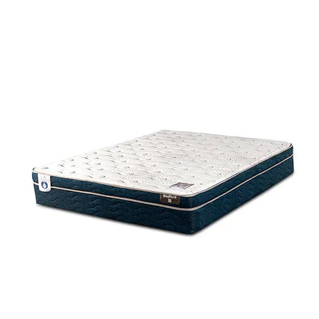 Colchón Bedford G2 Spring King