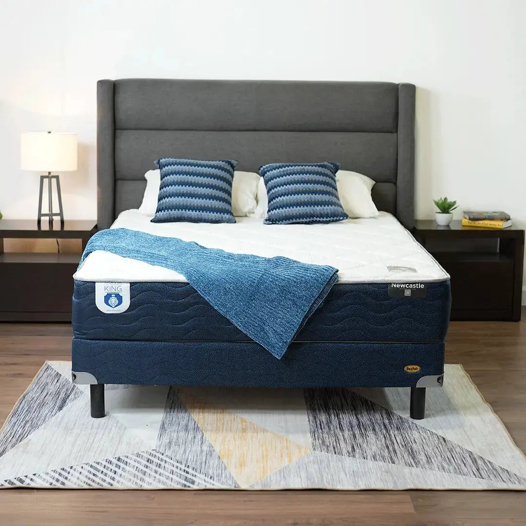 Combo Newcastle G2 Individual + Protector + Almohada de Memory Foam Spring King