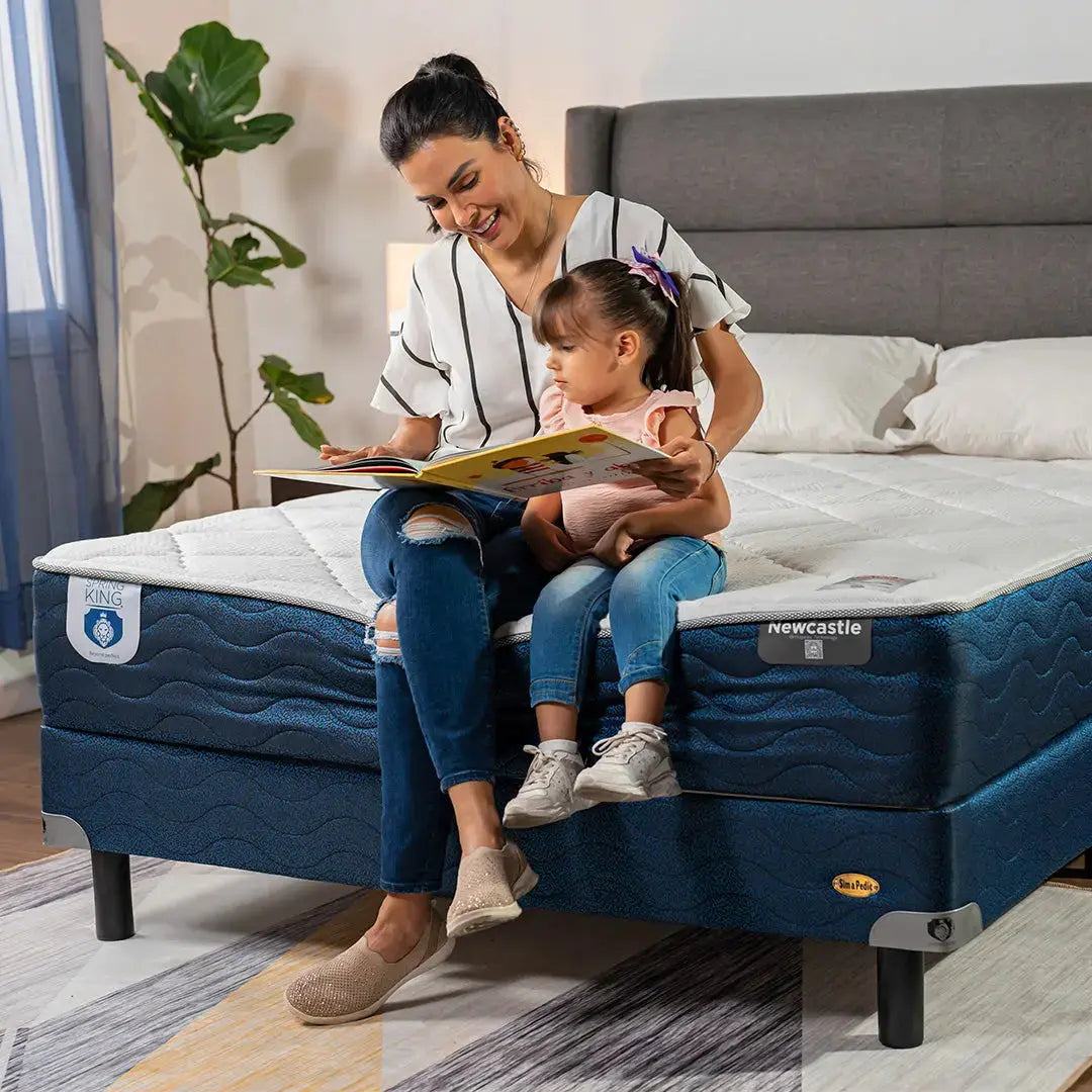 Combo Newcastle G2 Individual + Protector + Almohada de Memory Foam Spring King